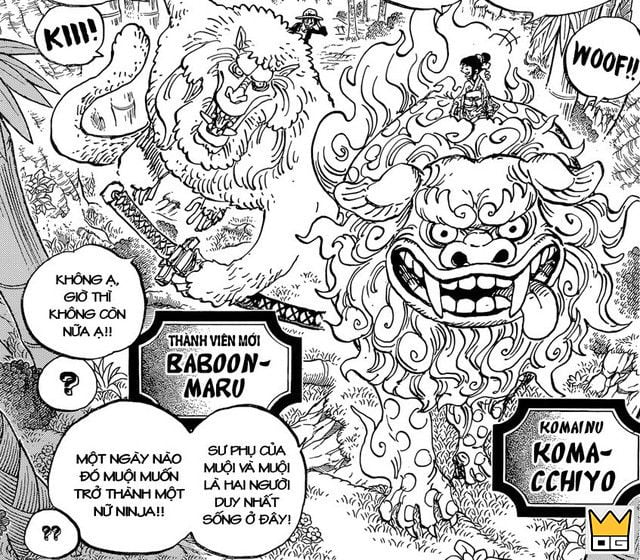 Spoiler One Piece 913: Luffy và Zoro chỉ có 19% cơ hội sống sót tại Wano? 3 Luffy và Zoro trên lưng Komainu đưa Otama đi chữa bênh. (Ảnh minh họa)