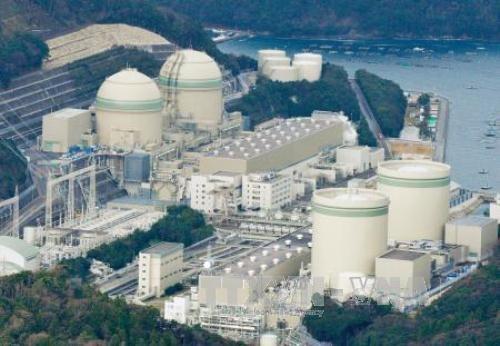 Nhật Bản loay hoay với bài toán thực phẩm từ Fukushima 1 Fukushima hồi sinh sau thảm họa động đất - sóng thần. Ảnh: TTXVN