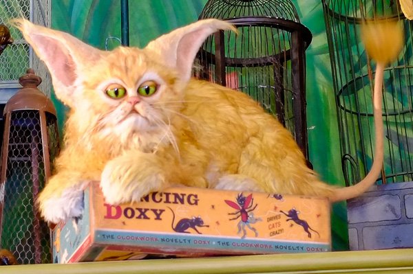 Harry Potter: Top 10 sinh vật huyền bí mà ai cũng muốn nuôi như thú cưng (P.2)