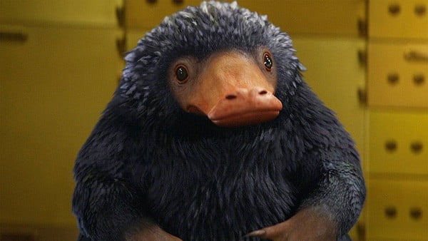 Harry Potter: Top 10 sinh vật huyền bí mà ai cũng muốn nuôi như thú cưng (P.1)