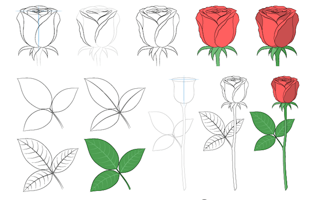 Hướng dẫn vẽ Hoa hồng theo phong cách Anime Manga