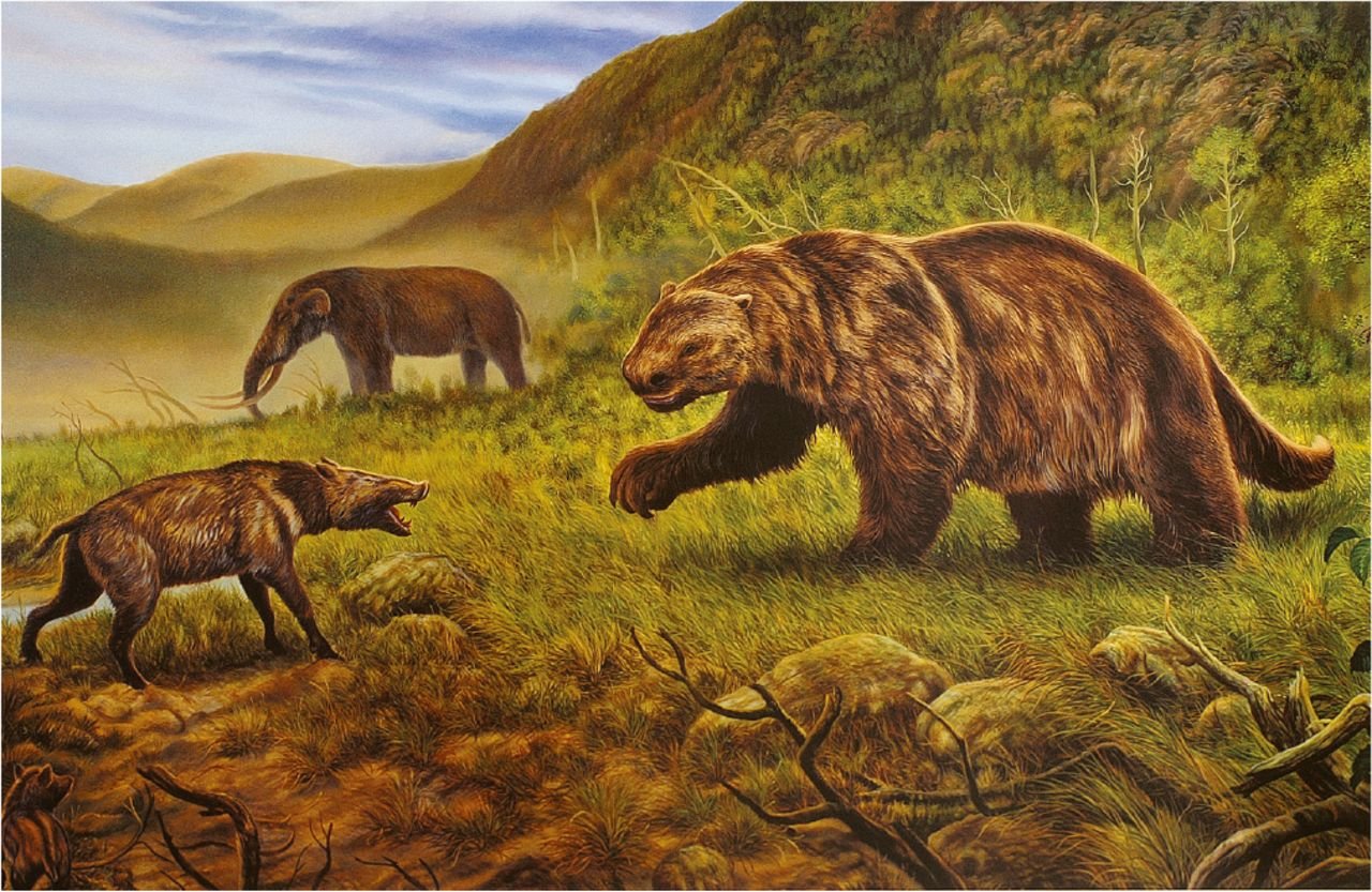 Một số loài Megafaunal tồn tại ở New Guinea cho đến 20.000 năm trước - Ảnh 3. Một số loài Megafaunal tồn tại ở New Guinea cho đến 20.000 năm trước - Ảnh 3.