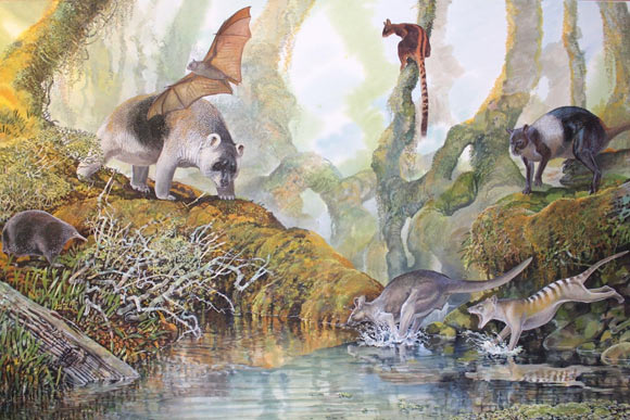 Một số loài Megafaunal tồn tại ở New Guinea cho đến 20.000 năm trước - Ảnh 1. Một số loài Megafaunal tồn tại ở New Guinea cho đến 20.000 năm trước - Ảnh 1.