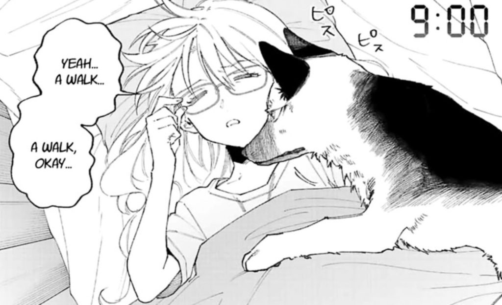 Shikimori's Not Just A Cutie Chapter 159: Một kế hoạch thành công 3 Shikimori không chỉ là một cô gái đáng yêu Chap 159